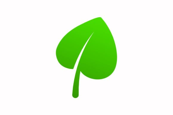 Floral Leaf Vector Illustration: A Practical Review for Graphics and Illustrations