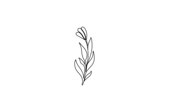 Floral Nature Spring Line Style Graphics and Freebies