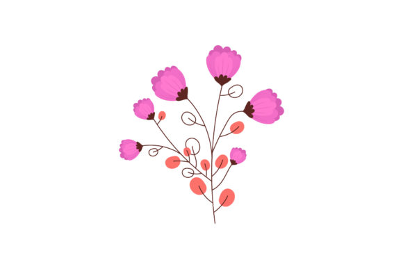 Floral Summer Graphic Collection Review