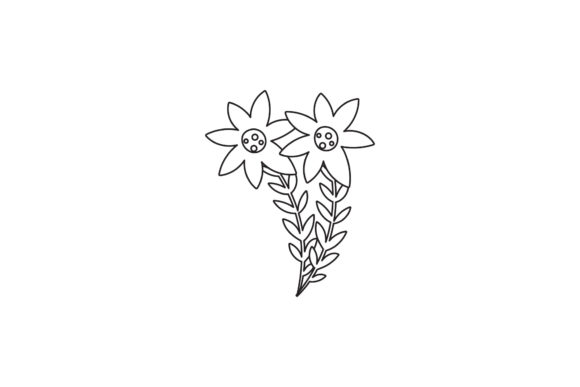 Floral Vector Flowers Line Style Graphics and Freebies