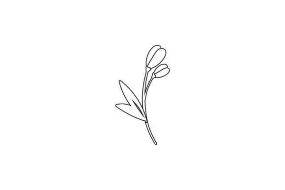 Flowers Floral Nature Vector Line Style Graphics and Freebies